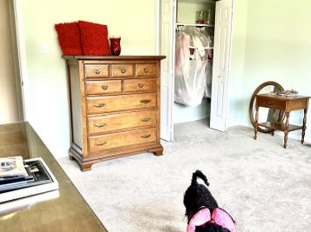 Room for rent in Highland, Maryland