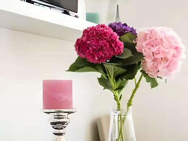 Apartment mieten in KG Alsergrund, Wien
