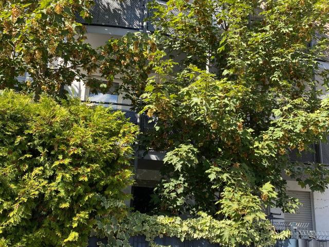 Apartment mieten in Leimen, Baden-Württemberg