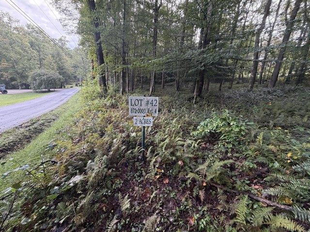 Land for sale in Summersville, West Virginia