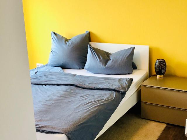 Apartment mieten in Johannstadt, Dresden