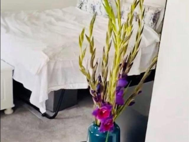 Studio for rent in Royal Borough of Kensington and Chelsea, Greater London