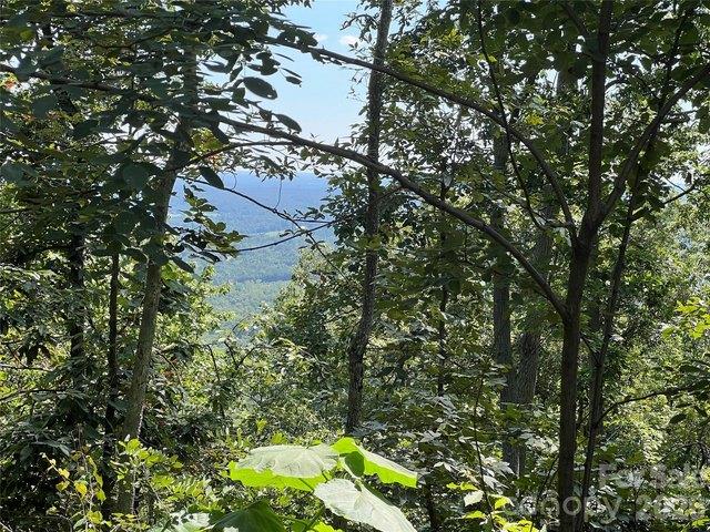 Land for sale in Rutherford, North Carolina