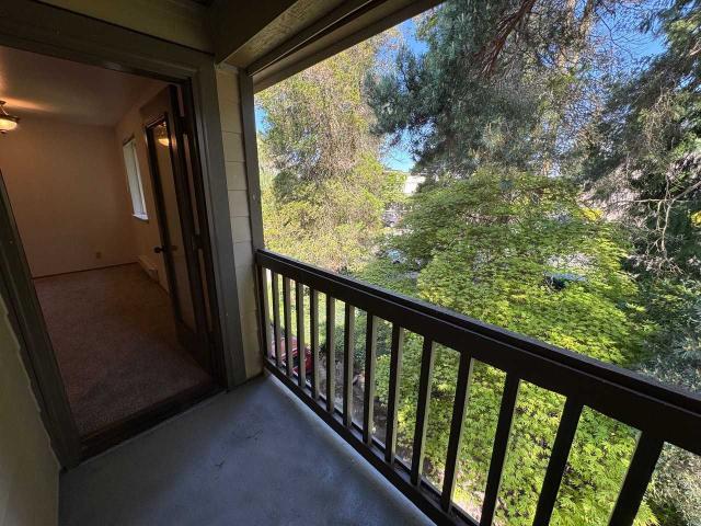 Apartment for rent in North City, Shoreline