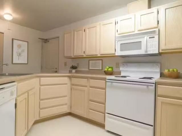 Apartment for rent