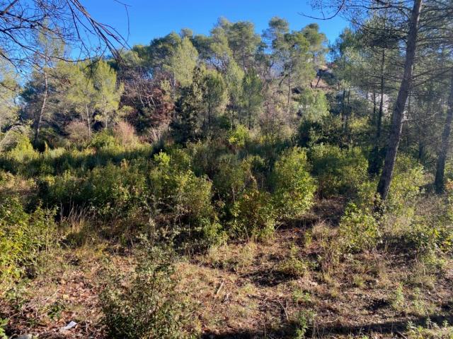 Terrain vente à Brignoles, Var