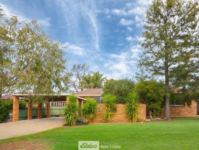 House for sale in Griffith, New South Wales