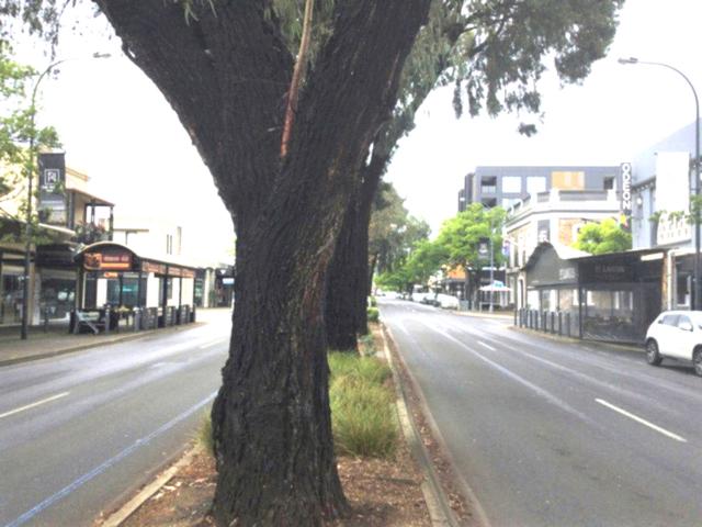 House for sale in Horseshoe Creek, South Australia