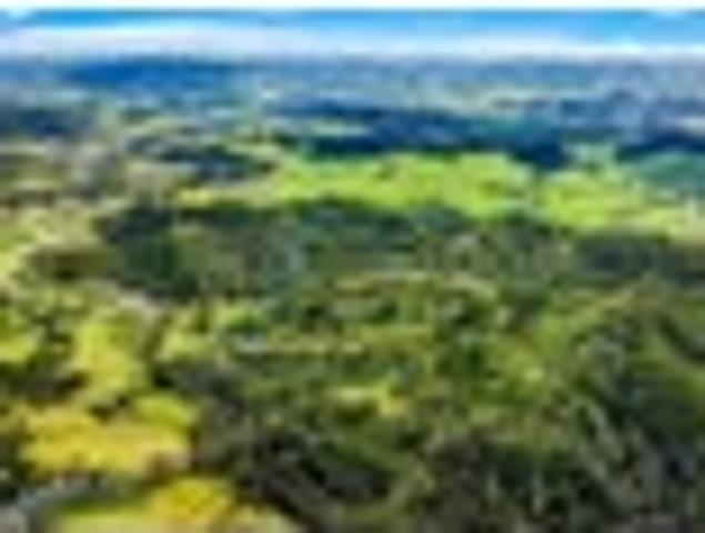 Land for sale in Kawau Island