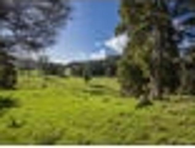 Land for sale in Whangarei, Northland