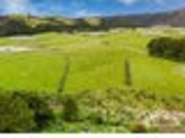 Land for sale in Northland