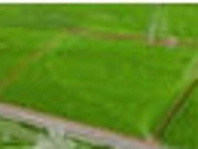 Land for sale in Thames-Coromandel District, Waikato