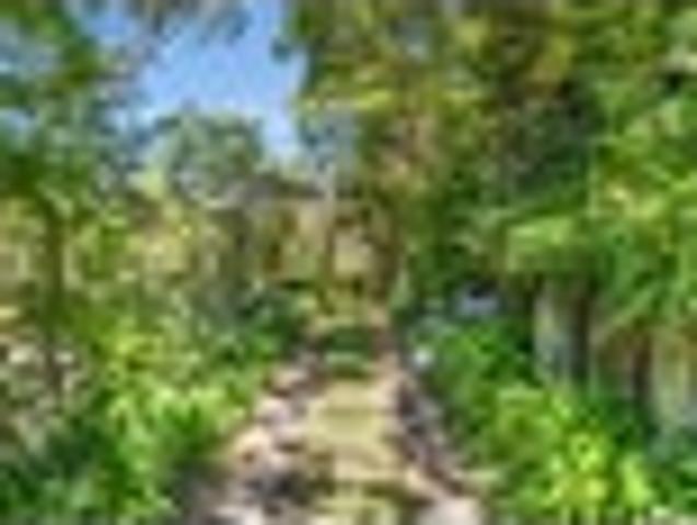 Land for sale in Ohope Beach, Bay Of Plenty
