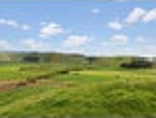 Land for sale in Franklin, Awhitu