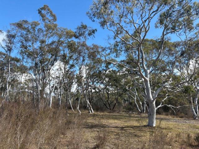 Land for sale in Bombay, New South Wales