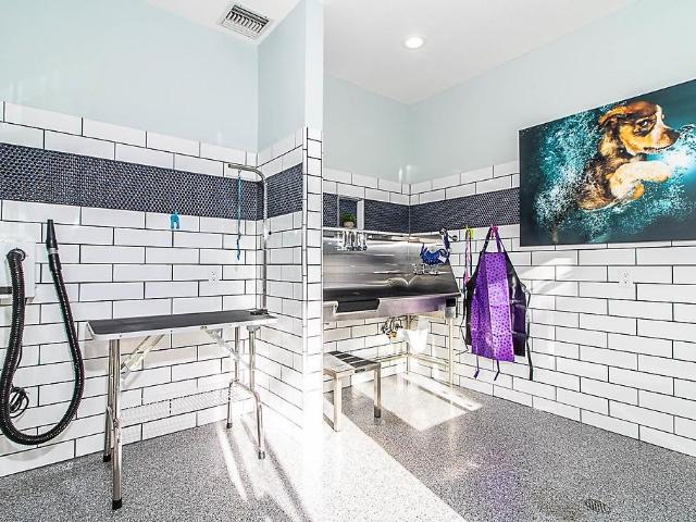 Apartment for rent in Sunnyvale, California