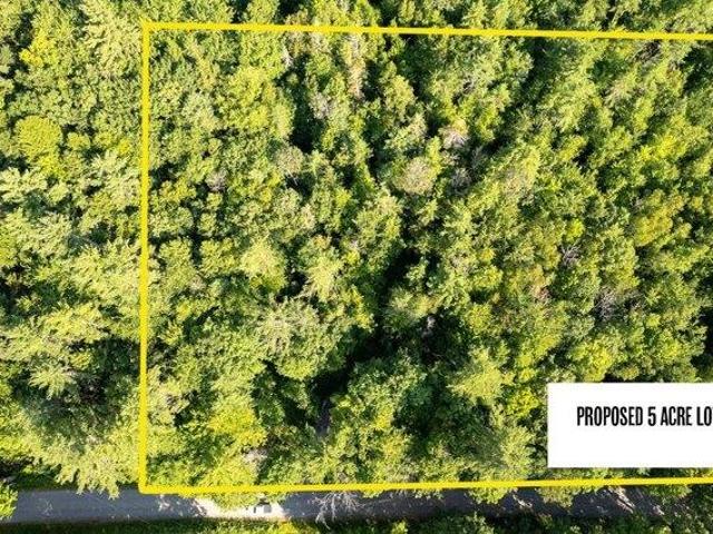 Land for sale in New Hampshire