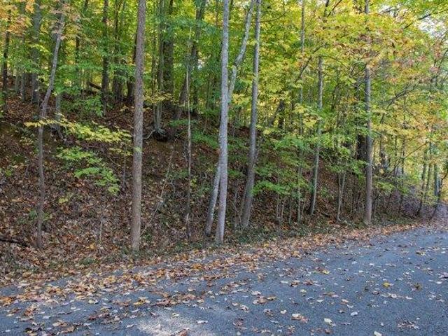 Land for sale in Tennessee