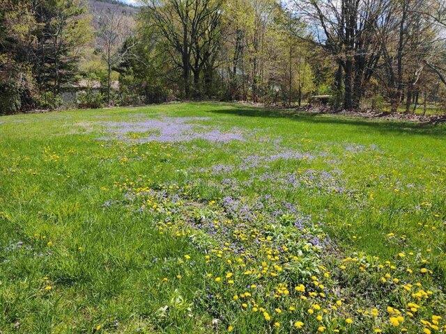 Land for sale in Bristol, Vermont