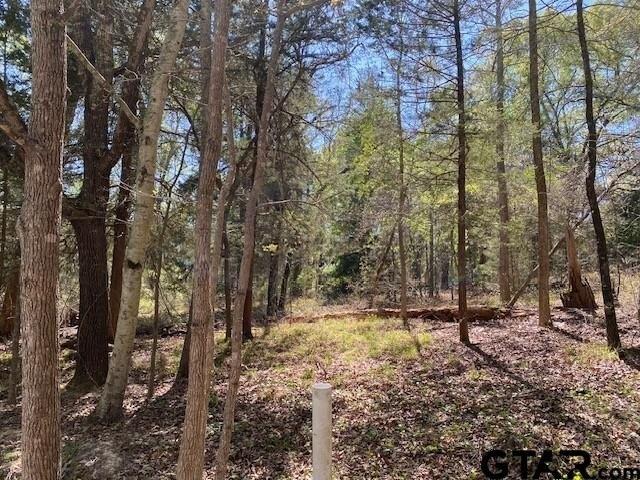 Land for sale in Henderson, Texas