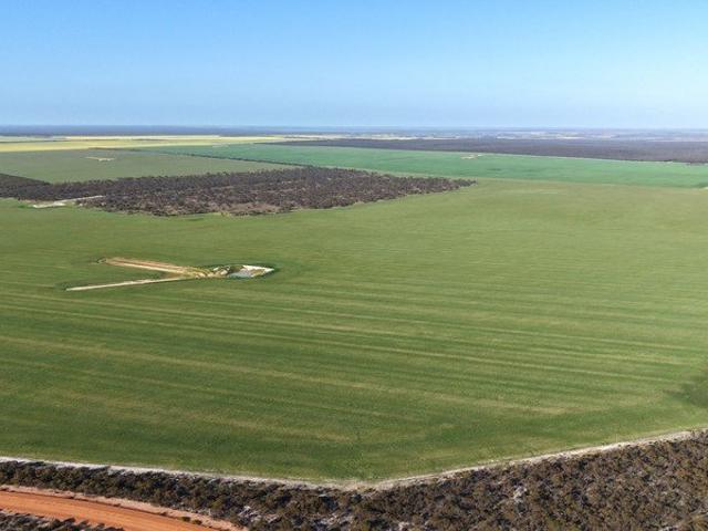 Cottage for sale in West Fitzgerald, Western Australia