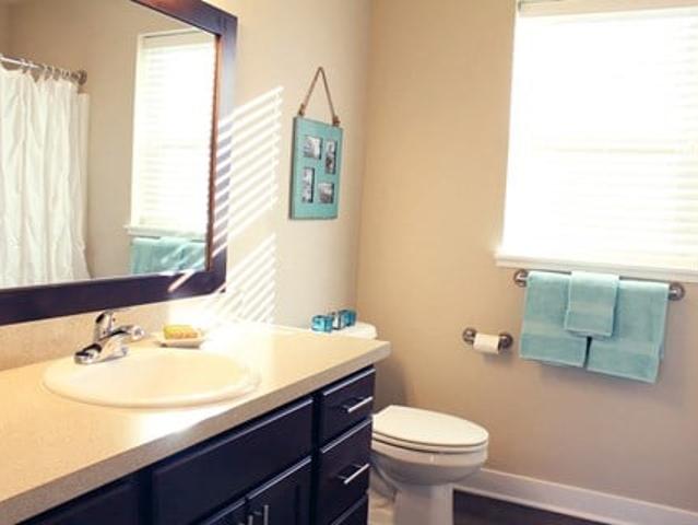 Apartment for rent in Caledonia, Caledonia Charter Township