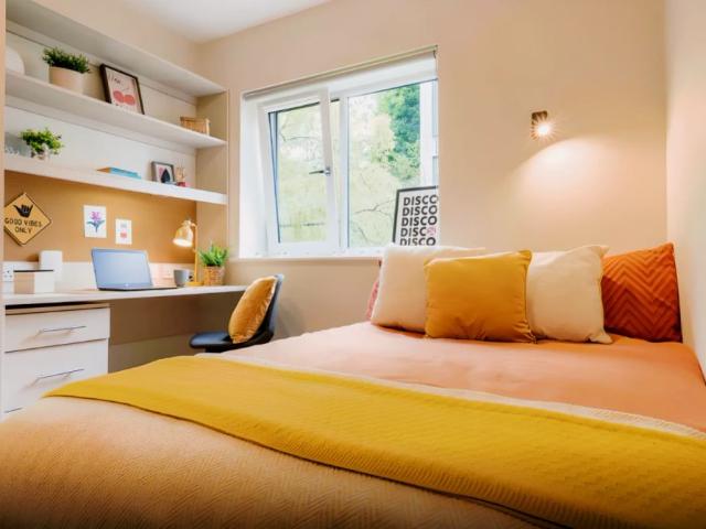 Room for rent in Ripley Springs, Row Town