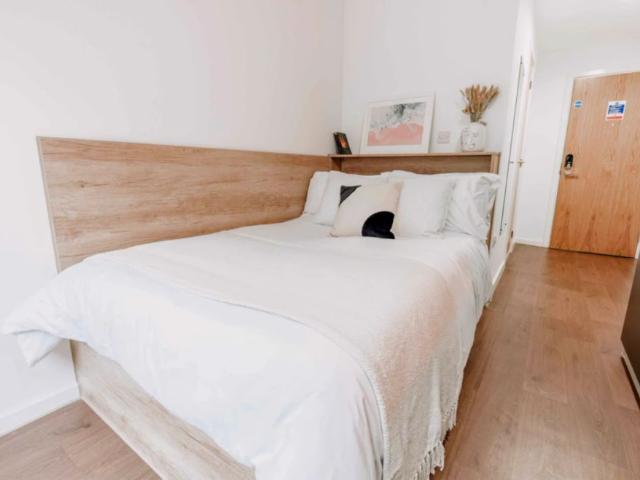 Room for rent in Devonshire, Sheffield