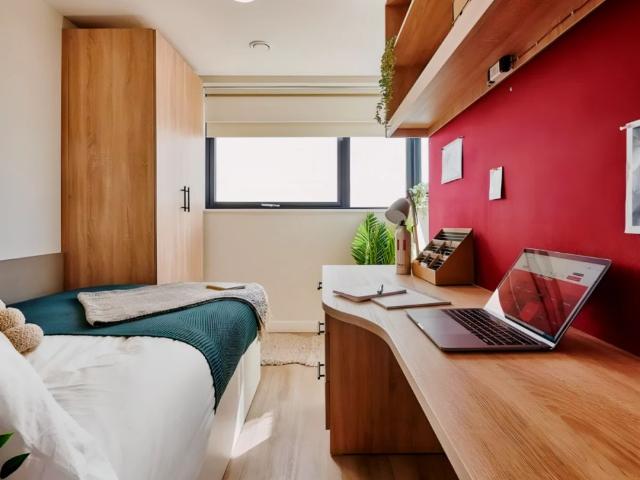 Room for rent in Lansdowne, Springbourne