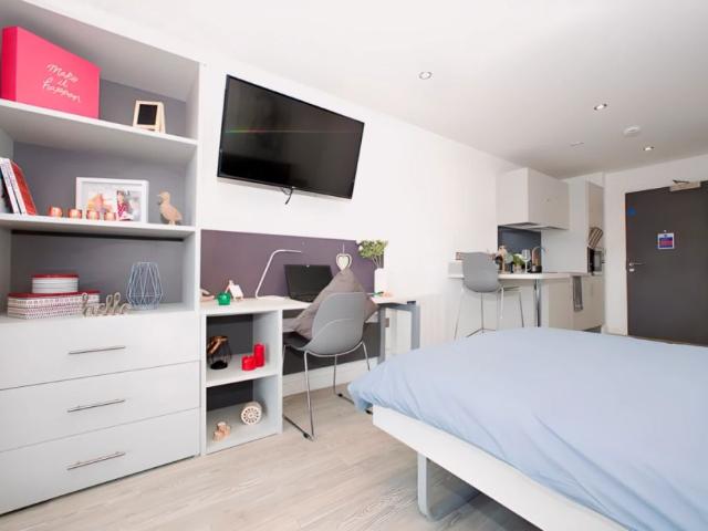 Studio for rent in Newtown, Two Mills