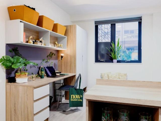 Studio for rent in Lansdowne, Springbourne