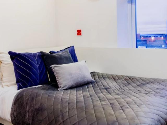 Studio for rent in Haddon, East Midlands