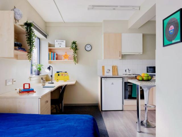 Studio for rent in Greenbank, Plymouth