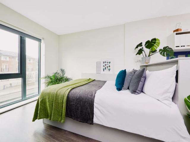Studio for rent in Newtown, Two Mills