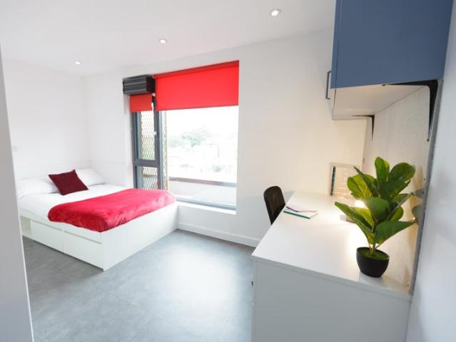 Studio for rent in London Borough of Lewisham, New Cross