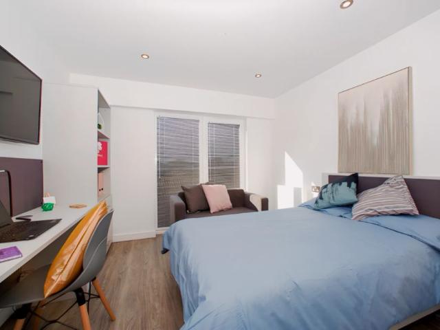 Studio for rent in The Meadows, Haddon