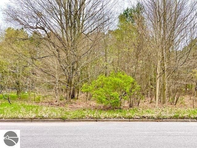 Land for sale in Kaleva, Michigan