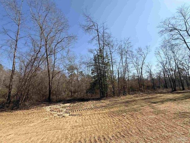 Land for sale in Pace, Florida