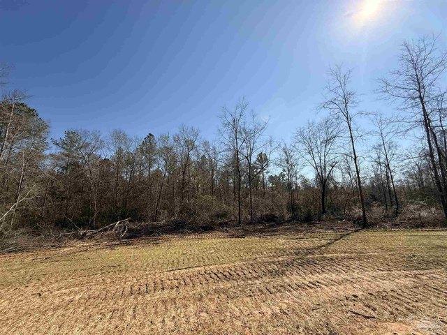 Land for sale in Pace, Florida
