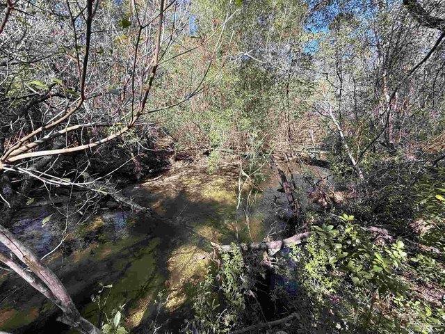 Land for sale in Pace, Florida