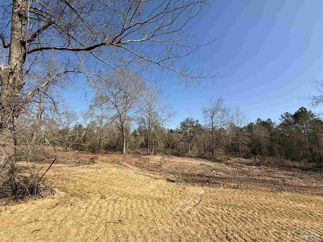 Land for sale in Pace, Florida