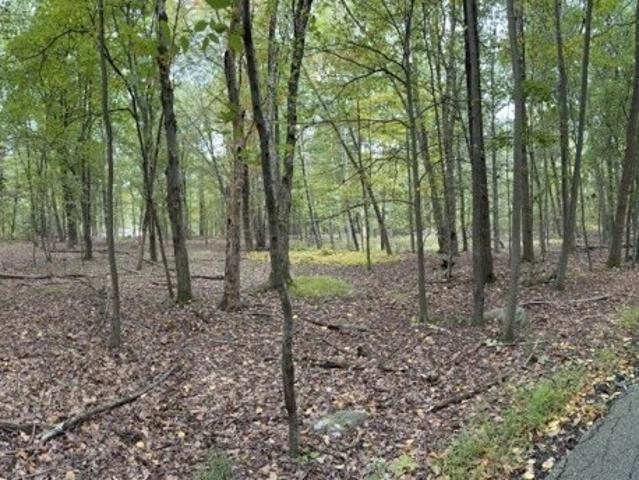 Land for sale in Blairstown, Warren County
