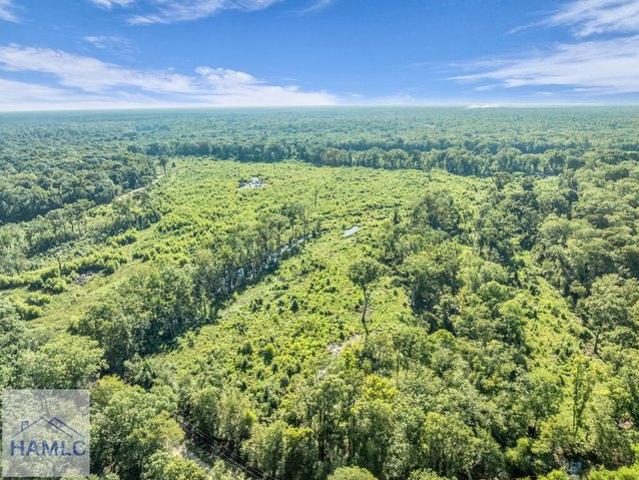 Land for sale in Jesup, Georgia