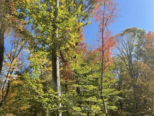 Land for sale in Hampton, Connecticut