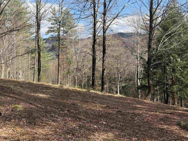 Land for sale in Warren, Vermont