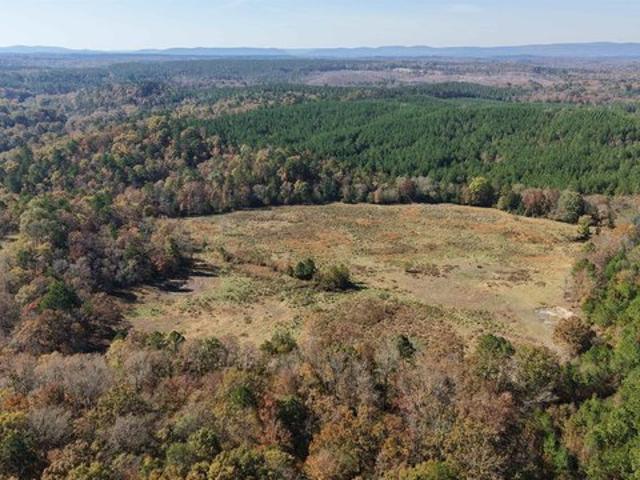 Land for sale in Smithville, McCurtain County