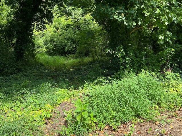 Land for sale in Brookneal, Campbell County