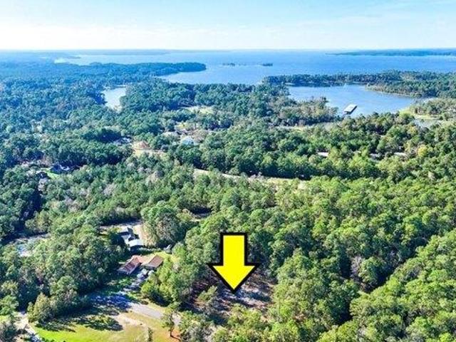 Land for sale in Brookeland, Texas