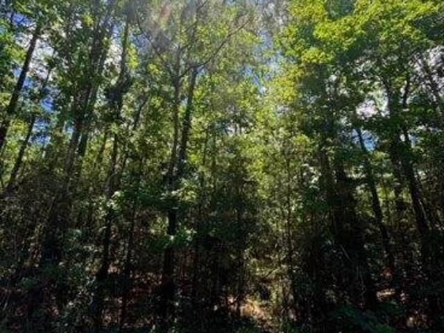 Land for sale in Brookeland, Texas