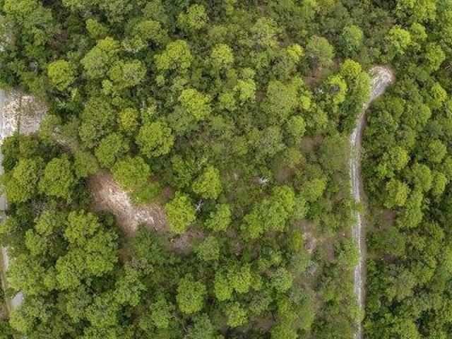 Land for sale in Brookeland, Texas
